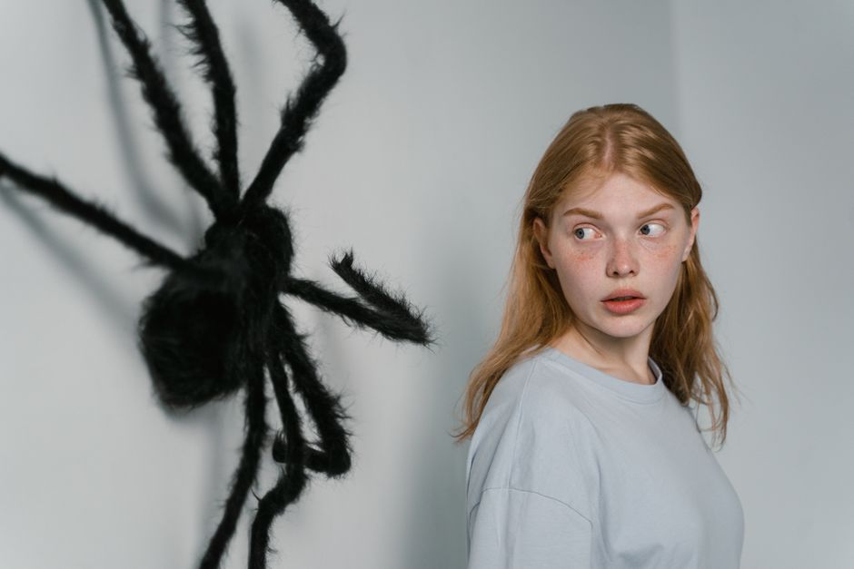 Ką reiškia sapnuoti vorus? Reikšmės pagal sapną