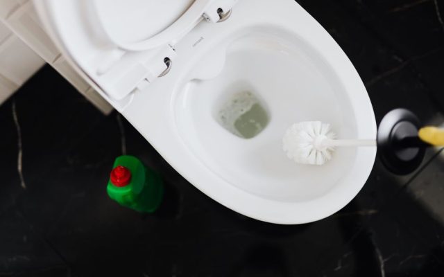 Kaip valyti klozeto akmenis: saugus ir veiksmingas būdas